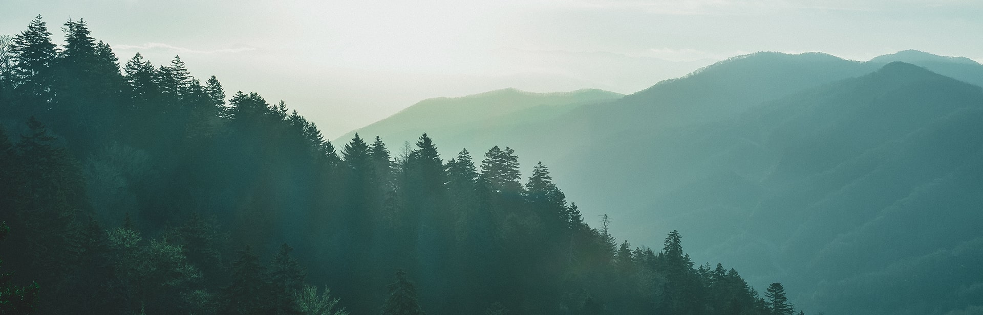 My Blog